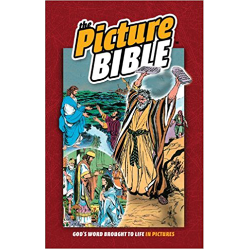 The Picture Bible